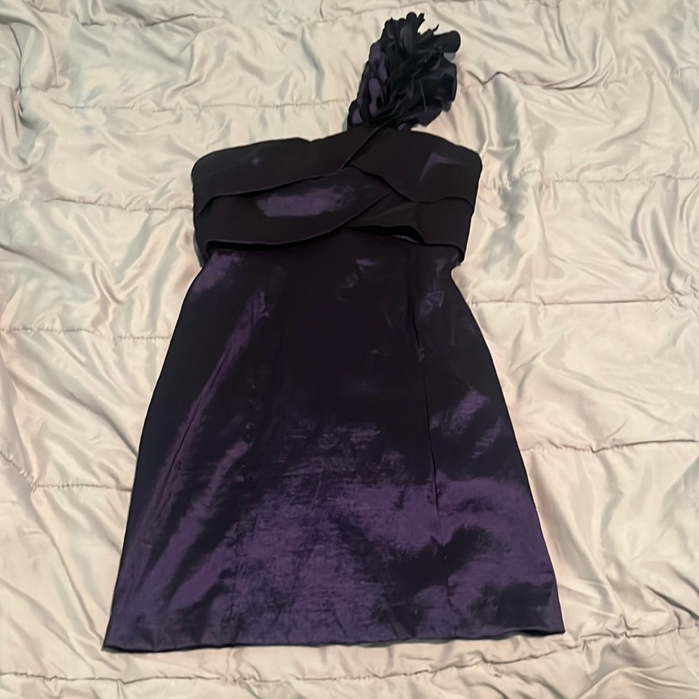 purple dress from snap